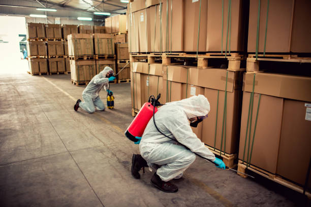Best Best Pest Control Companies  in Columbia, TN