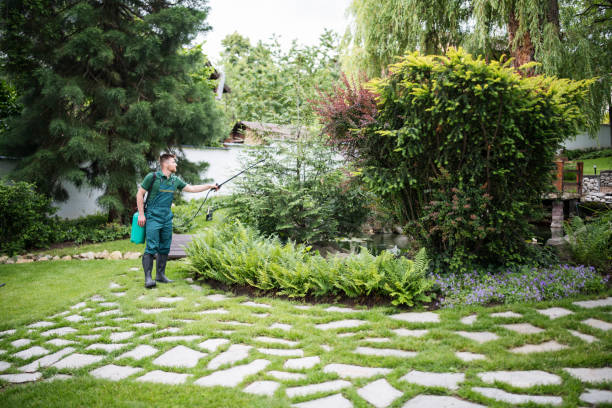 Best Local Pest Control Services  in Columbia, TN