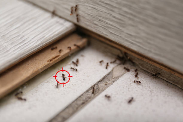 Best Pest Prevention Services  in Columbia, TN