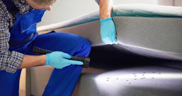 Wasp Removal Services in Columbia, TN