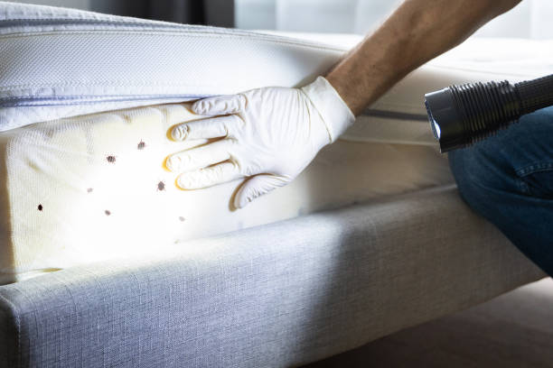 Pest Prevention Services in Columbia, TN