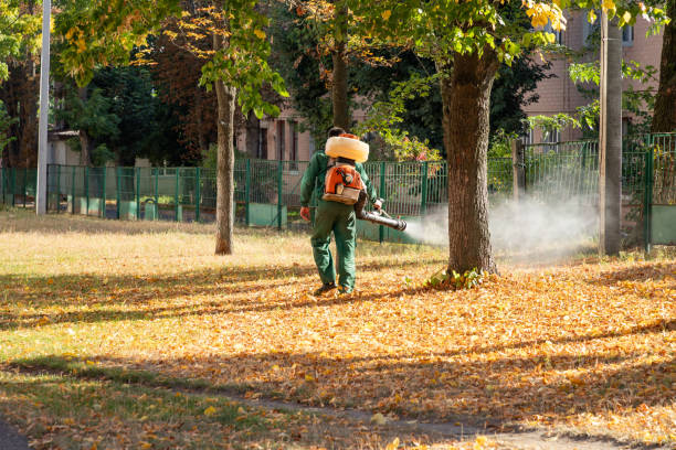 Best Rodent Control Near Me  in Columbia, TN