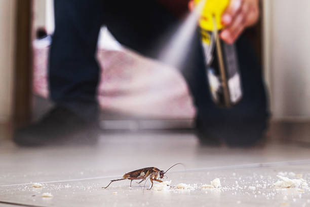  Columbia, TN Pest Control Pros