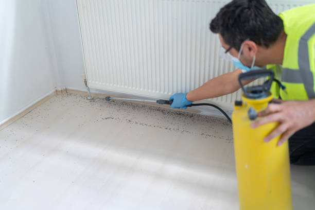 Trusted Columbia, TN Pest Control Experts