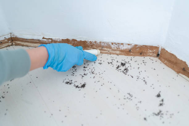 Best Exterminator Services  in Columbia, TN