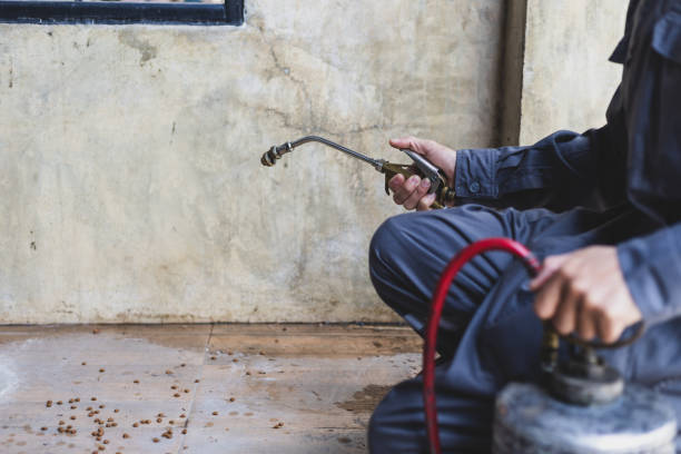 Best Emergency Pest Control  in Columbia, TN